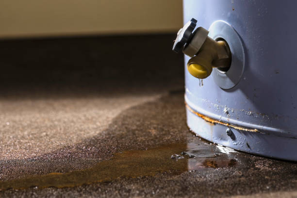  Temple, GA Water damage restoration Pros