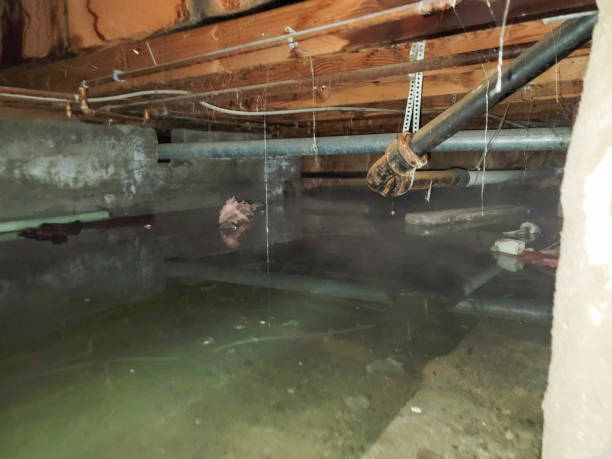 Best Water damage restoration near me  in Temple, GA
