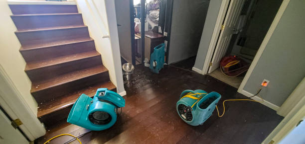 Best Carpet water damage restoration  in Temple, GA