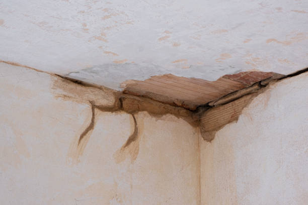 Best Professional water damage repair  in Temple, GA