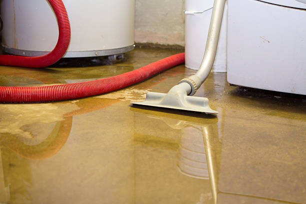 Best Flood restoration services  in Temple, GA