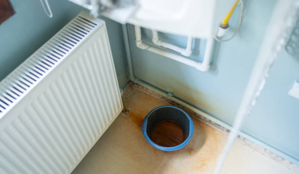 Best Mold removal after water damage  in Temple, GA