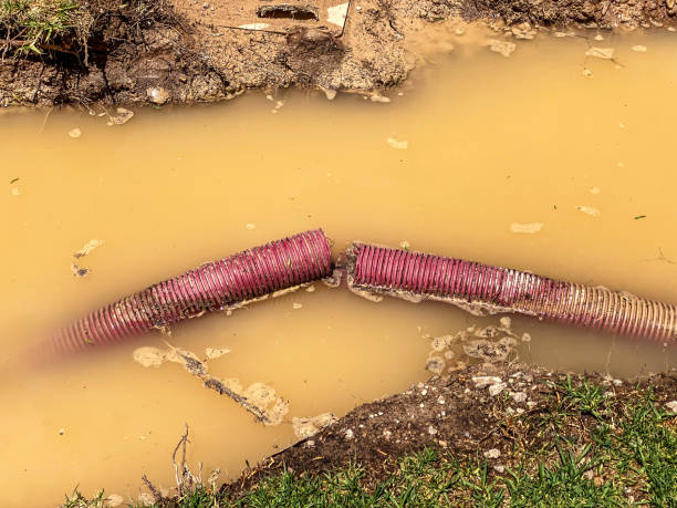 Best 24/7 water damage repair  in Temple, GA