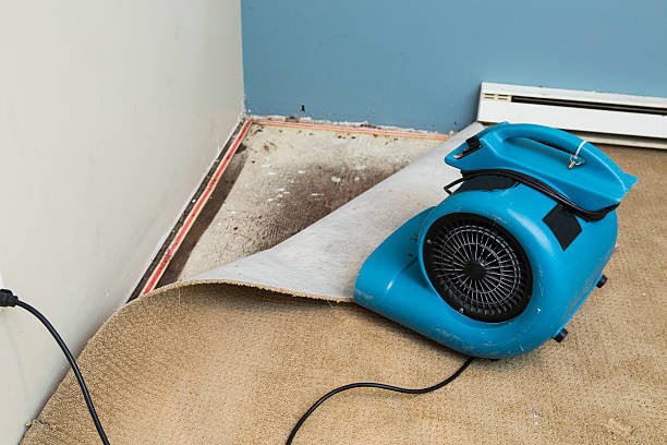 Best Water damage cleanup near me  in Temple, GA